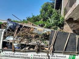 Best Dumpster Rental Services  in Palmetto, GA